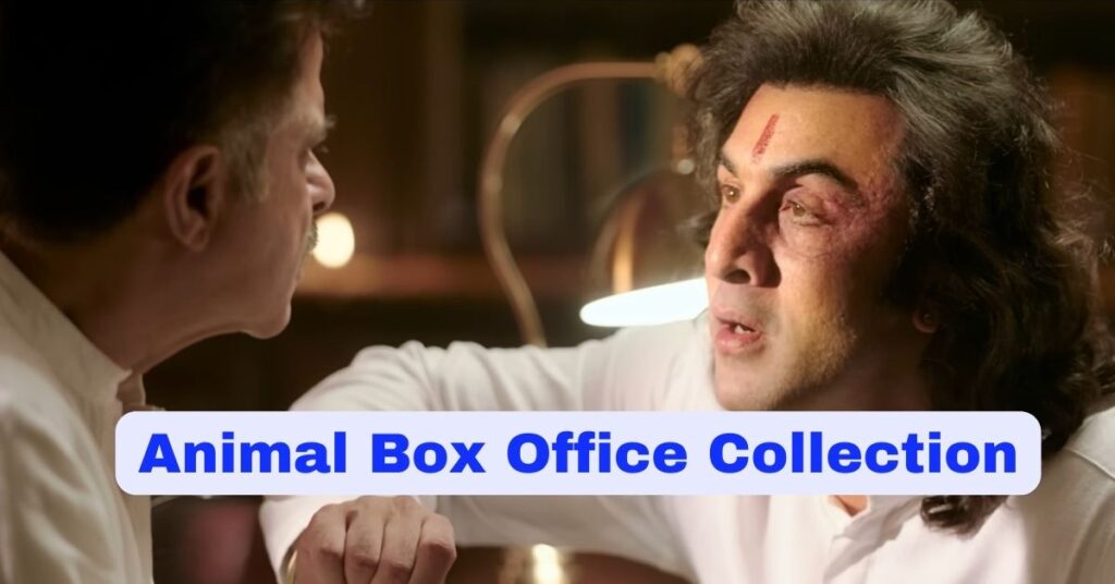 Animal Box Office Collection